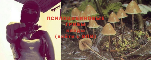 стафф Алексеевка