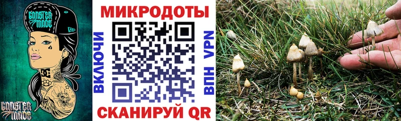 ОМГ ОМГ как войти  Апрелевка  Галлюциногенные грибы мицелий  где купить наркоту 