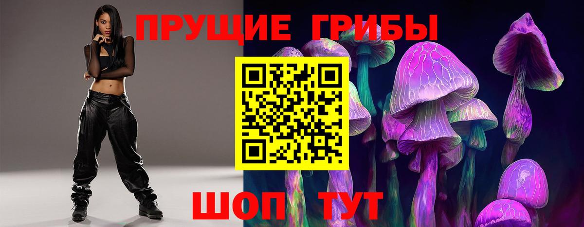 Апрелевка  Псилоцибиновые грибы прущие грибы  Вход с VPN 